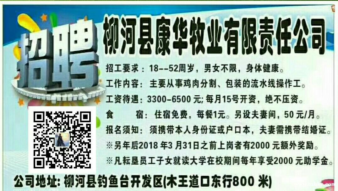 柳河縣康華牧業(yè)有限公司招聘普工 柳河縣康華牧業(yè)有限公司招聘普工