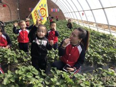 幼兒園招聘教師