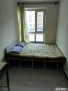 學(xué)區(qū)房單間出租