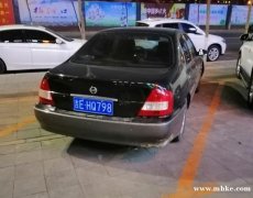 02尼桑藍(lán)鳥