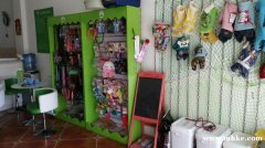 寵物店出兌接手就賺錢