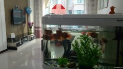 出售水岸人家區(qū)4樓94.44平方65萬