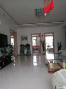 售樓：江山花園7—2—701，115平，