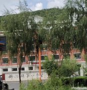 柳河縣新8中對面門市出兌