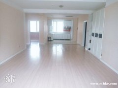 河南 城市經(jīng)典 小高層 八樓 115平