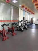 市政府西側(cè)文體中心健身館招聘