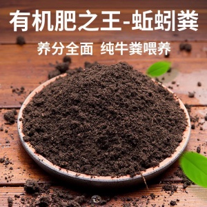 釣魚蚯蚓，飼料蚯蚓