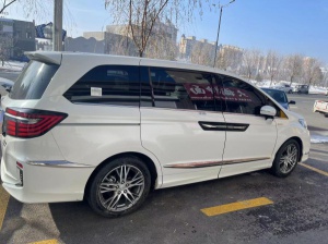 愛力紳自尊版20年油電混動(dòng)