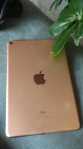 蘋果平板mini5