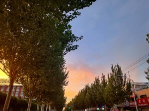 家政，有需要的聯(lián)系