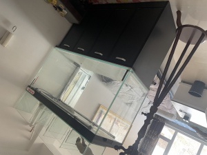 便宜賣魚缸 同城自取