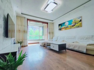 河南新區(qū)首付4萬