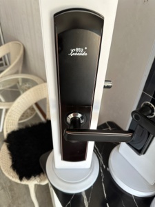 龍湖藍山給的指紋鎖200包安裝