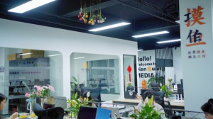 居家不露臉語音主播