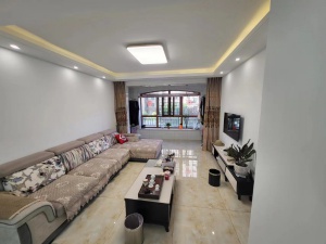 南湖一號(hào)兩室一廳出租