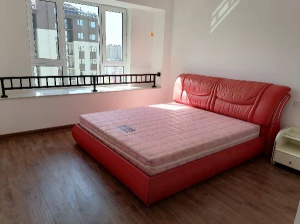 出租碧桂園金悅府