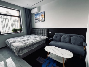 月付1500｜新房 盛世江南精裝ins風公寓｜拎包入住｜設施齊全 可做飯｜近五中學校 知北村 普陽橋 門口有公交站