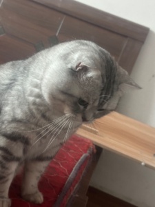 找個負責任的家長