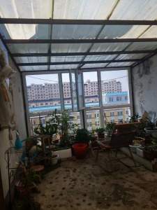 急售學(xué)區(qū)房，復(fù)式樓，買六贈(zèng)七，樓上樓下160多平方，26萬。五所學(xué)校供你選擇，小學(xué)有外國語學(xué)校，翰林學(xué)校，朝鮮族學(xué)校，五中六中，有意者請打電話15981614710