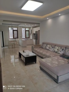 南湖一號(hào)98平兩室一廳出租