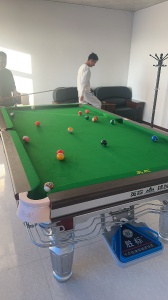 臺球桌安裝。更換臺尼