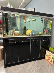 1米8大魚缸，配件齊全都好使，因家里裝修出售，