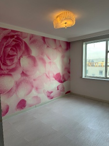 幾萬塊錢河南精裝房